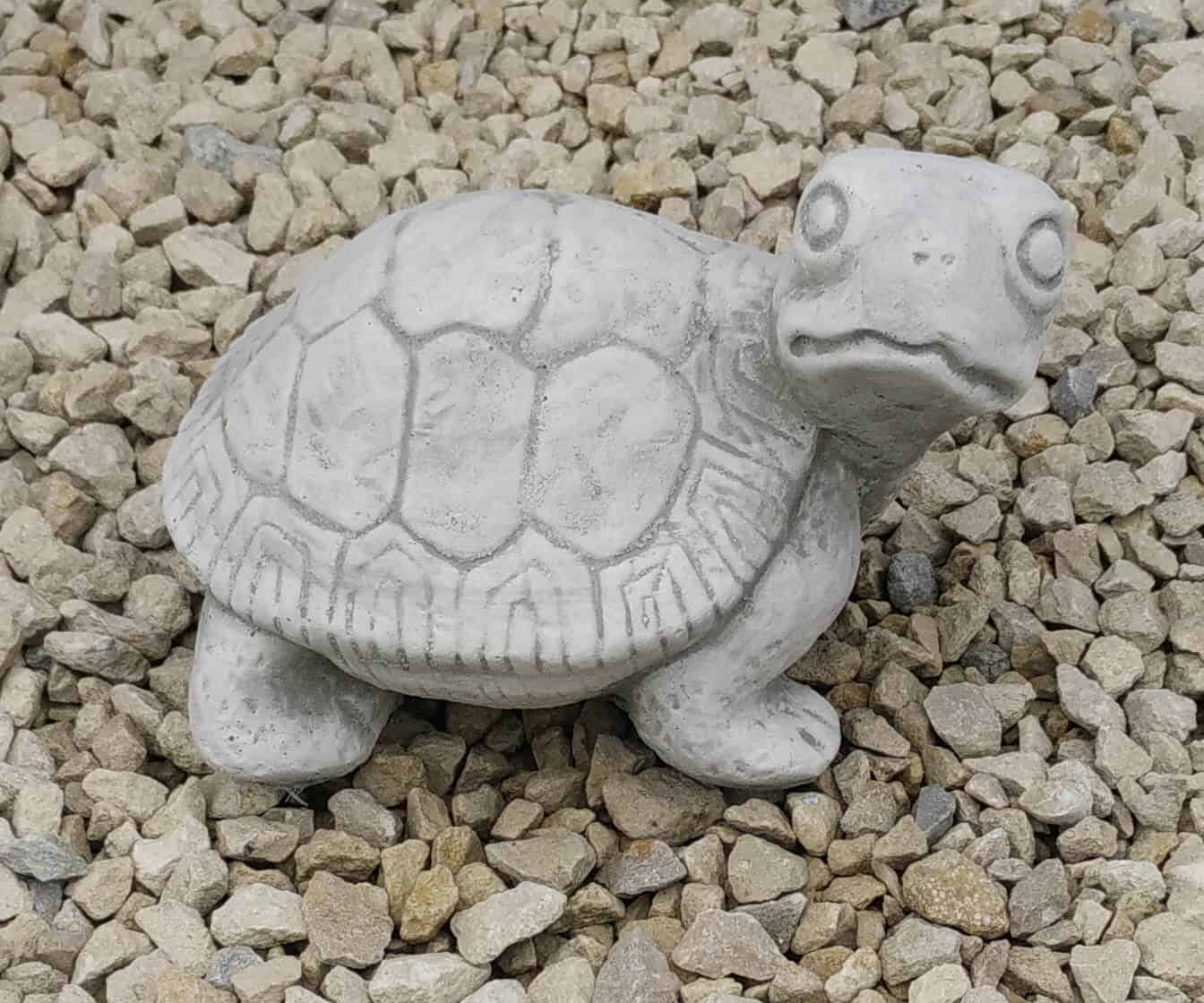 13 kleine schildpad