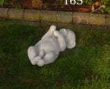 165 hond op rug
