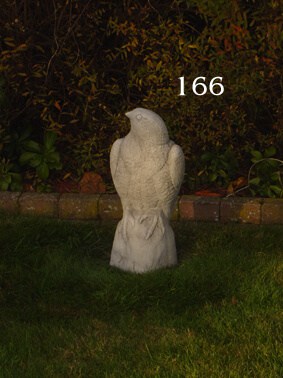 166 valk op rots