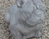 210 franse bul dog