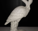 214 grote reiger