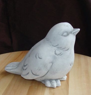 248 vogel kop omhoog