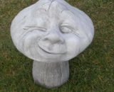 251 paddestoel jongen