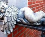 288 engel liggend rechts