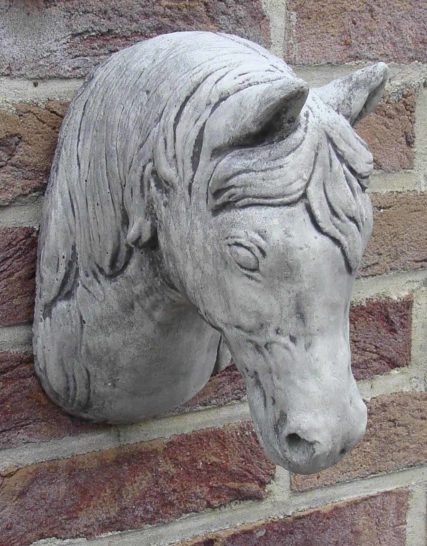292 kleine paardekop1