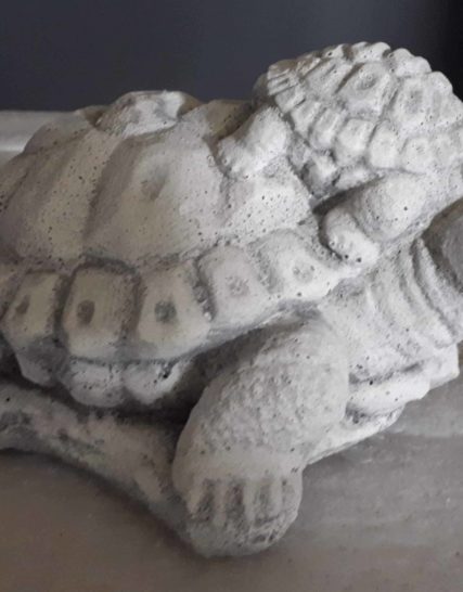 345 schildpad met jong