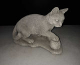 376 kat met bol