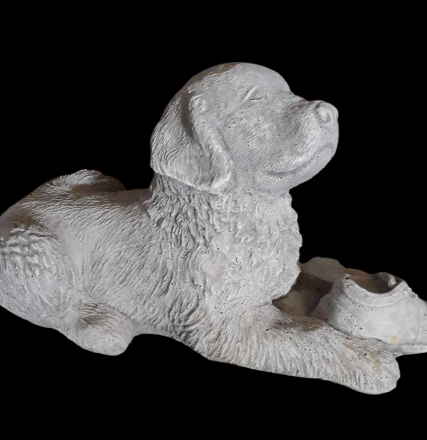 55 Labrador,golden retriever met schoen