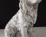 78 border collie