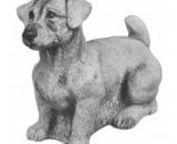 Z106 Jack Russell H 35 B 46