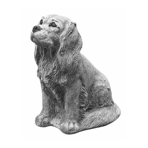 830 king charles cocker spaniel