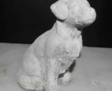 90 labrador zittend