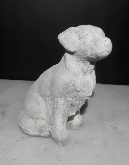 90 labrador zittend