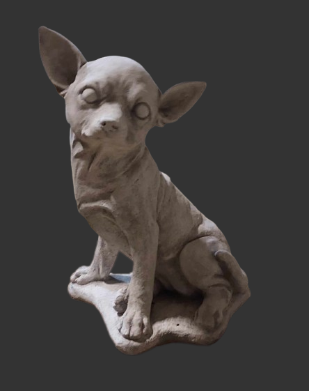 J1757 chihuahua zit 31 cm