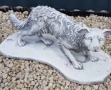 Z129 border collie klein