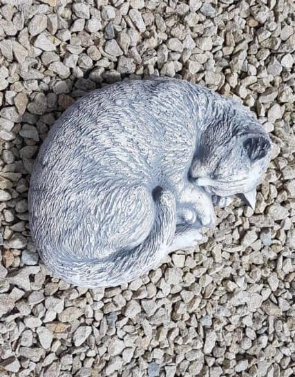 Z210 kat , poes slapend