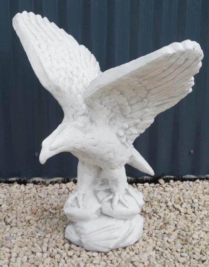 Z68 arend 65 cm