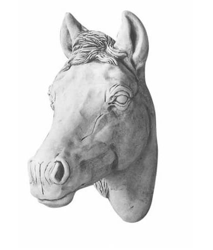 paarden kop klein