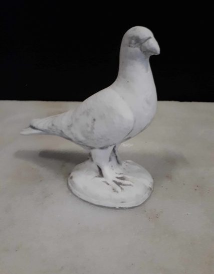 Z185 geringde duif