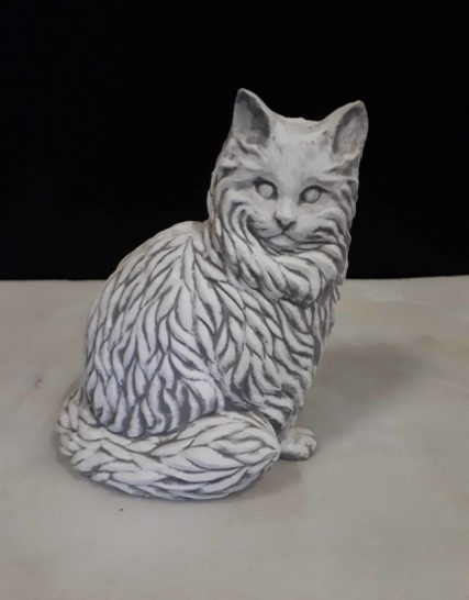 Z28 siamese kat
