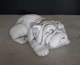 Z30 engelse bulldog