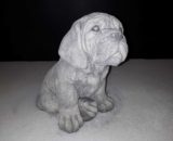 395 bordeaux dog pup