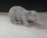 400 cavia