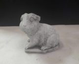 401 cavia wildhaar