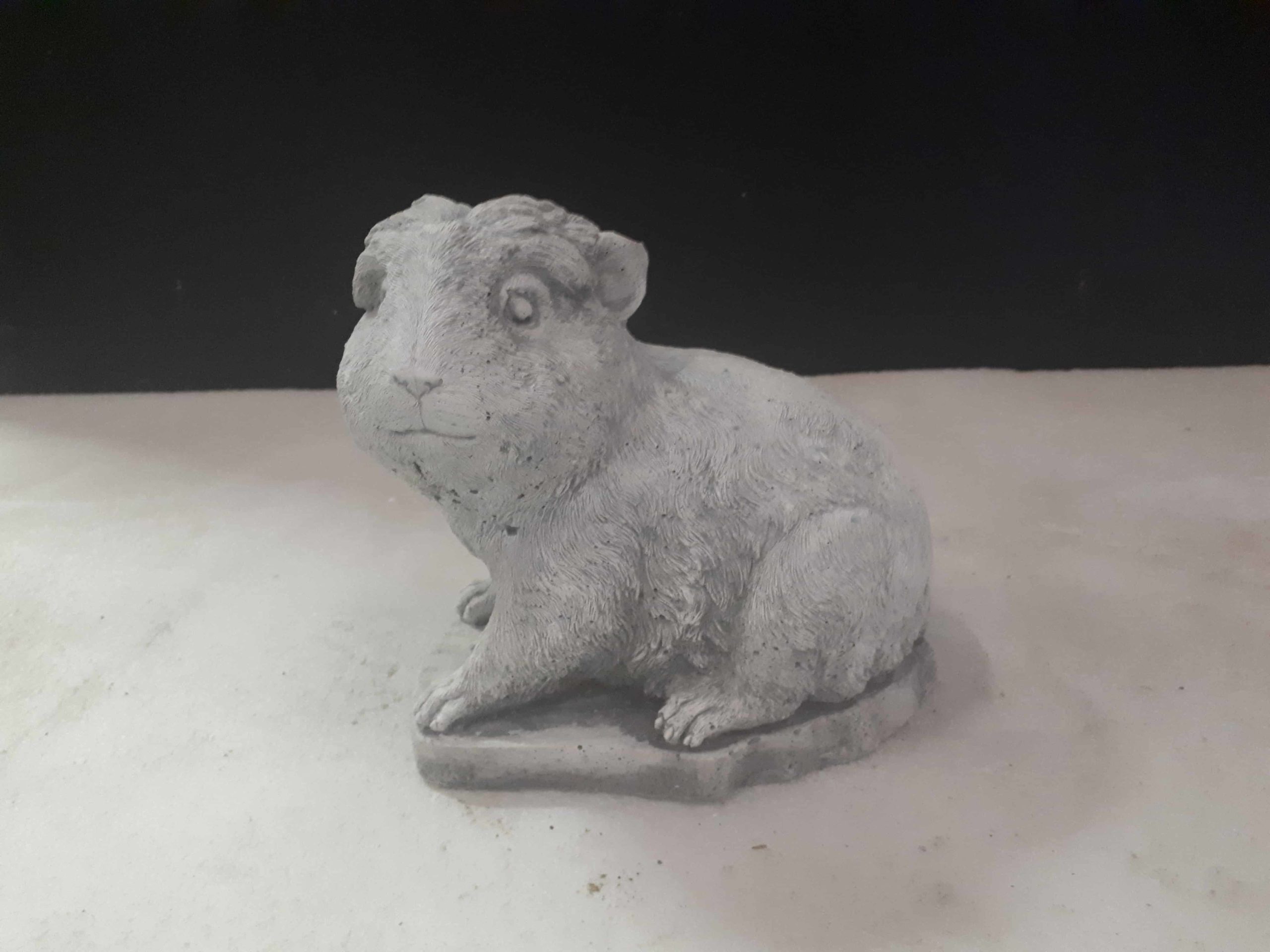 401 cavia wildhaar