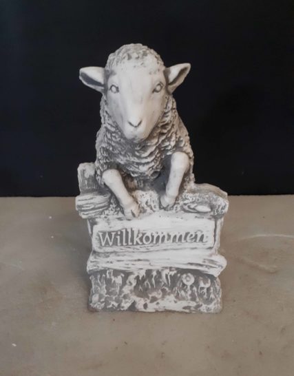Z228 wilkommen schaap