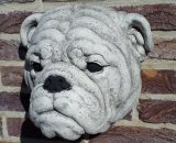 1252 engelse bulldog hanger