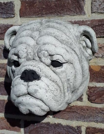 1252 engelse bulldog hanger