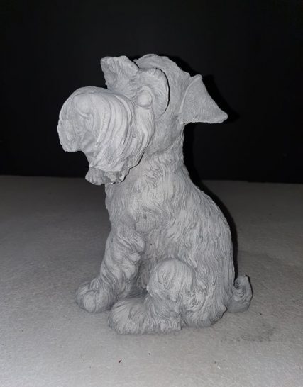 407 kleine schnauzer