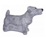438 jack russel staand