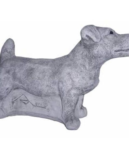 438 jack russel staand