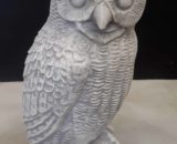 J562 uil groot