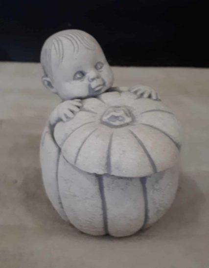 J623 baby in pompoen