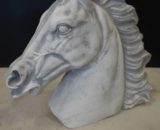 J1194 paardenhoofd