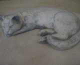 J1435 kat slapend