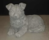 H1004 border collie liggend