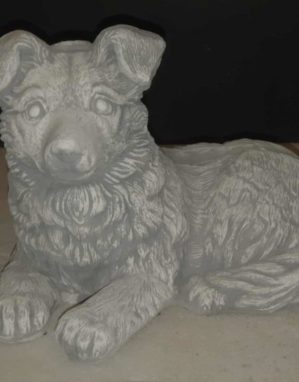 H1004 border collie liggend