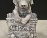 H1236 welkom hond