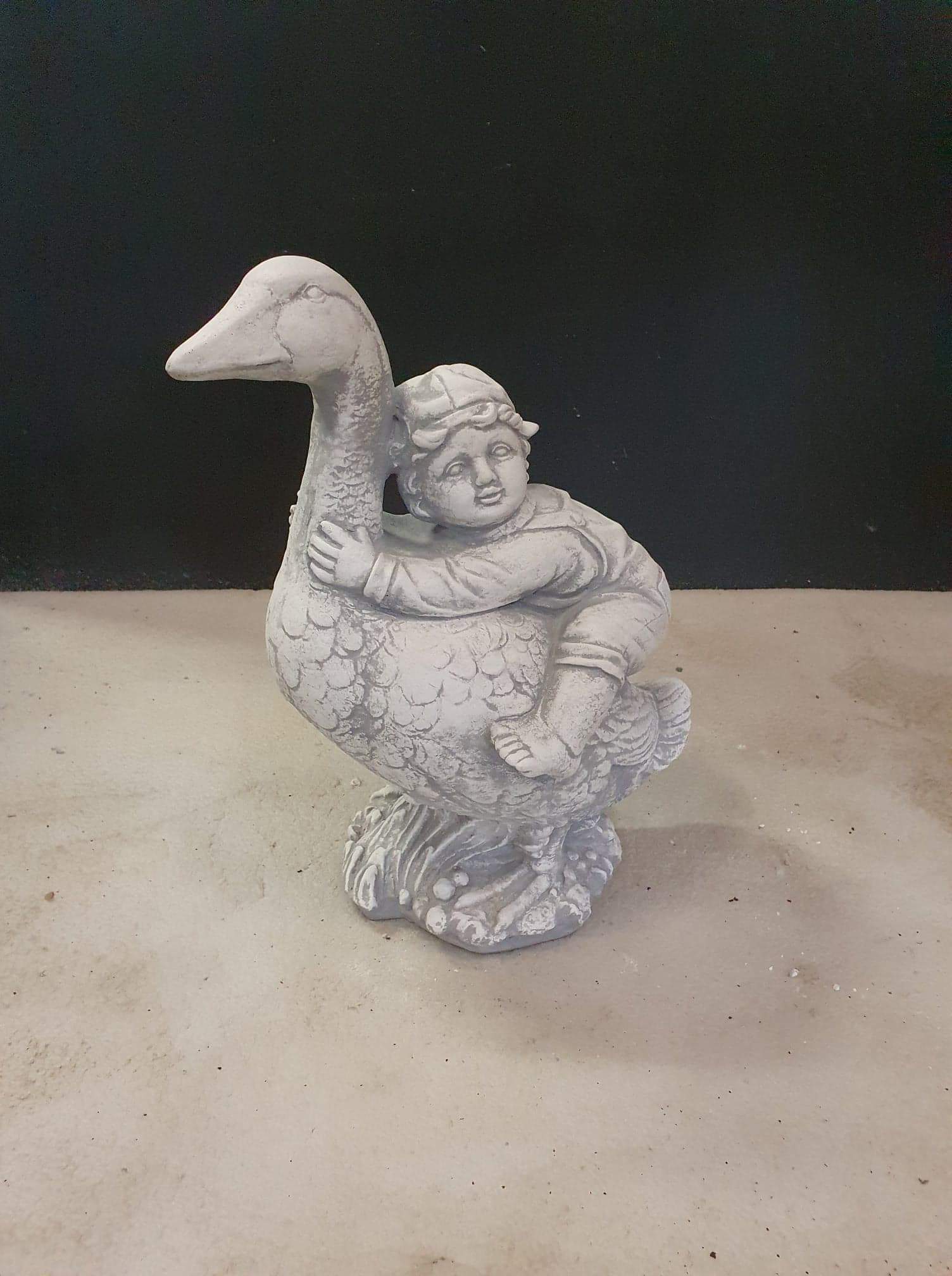 J38 jongen op gans