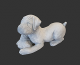 J727 rotthweiler pup met schoen