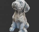 H1034 labrador pup 25 cm