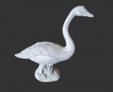 H1579 zwaan