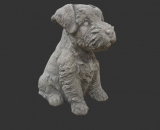 H1041 schnauzer pup 17 cm