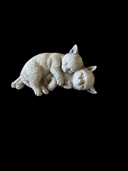 STS103135 katten op elkaar