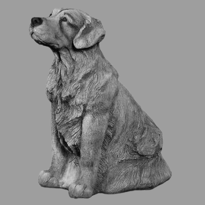 STS103889 Golden Retriever 73 cm