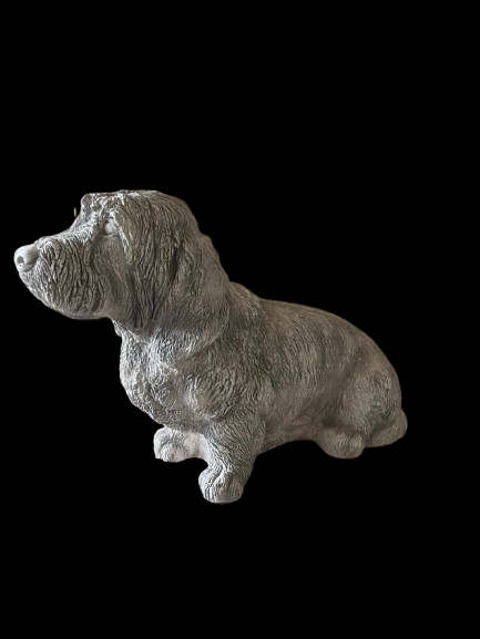 STS103949 basset griffion vendêen 51 cm